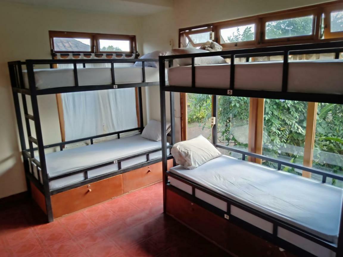 Uma Kutuh Bungalow Ubud Exteriér fotografie